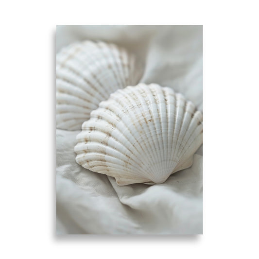 Shells - AFFICHES & MOI 