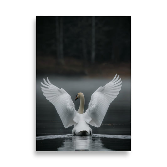 White Swan - AFFICHES & MOI 
