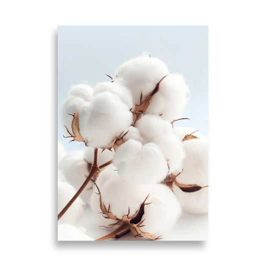 Cotton flowers - AFFICHES & MOI 
